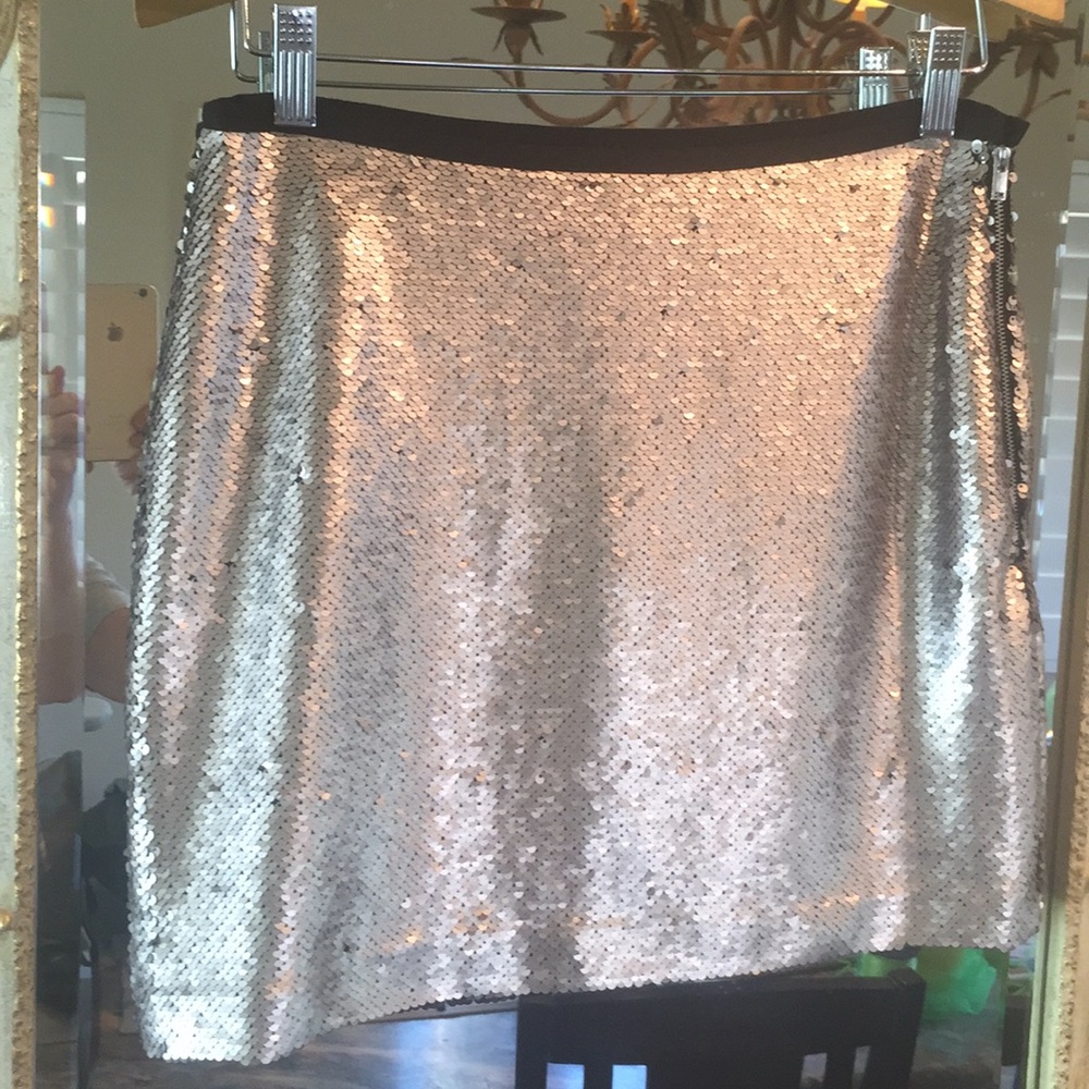 Zara Basic Mini Skirt. Matte Silver Sequins.Size S - image 1